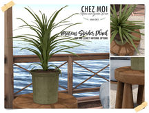 CHEZ MOI Mareas Spider Plant Set