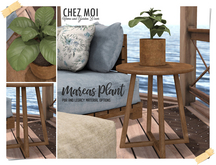 CHEZ MOI Mareas Plant Set