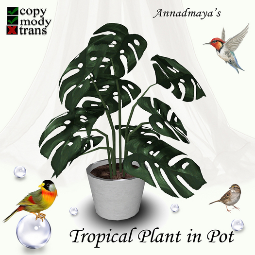 Tropical Plant in Pot - 2
