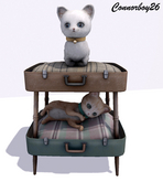 9  ionic : Kitten Bunk Bed Collectable kittens 