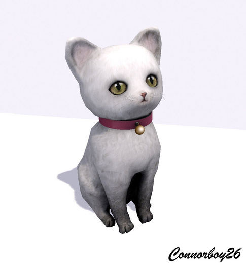 6  ionic : Maggie Kitty collectable kittens