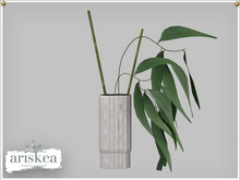 Ariskea[Rosewood] Bamboo vase