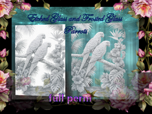 Bunny's Wall-Etched Parrots-full perm glass walls