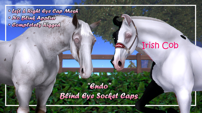 TCD - 2026 "Endo" Blind Eye Caps - Irish Cob