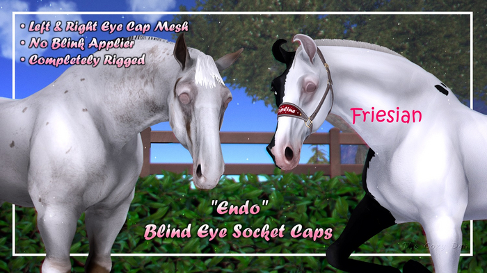 TCD - 2026 "Endo" Blind Eye Caps - Friesian