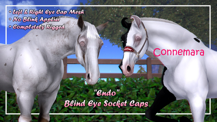 TCD - 2026 "Endo" Blind Eye Caps - Connemara
