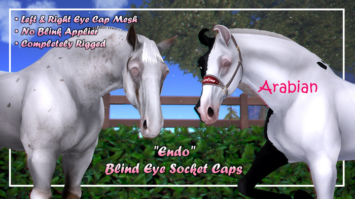 TCD - 2026 "Endo" Blind Eye Caps - Arabian