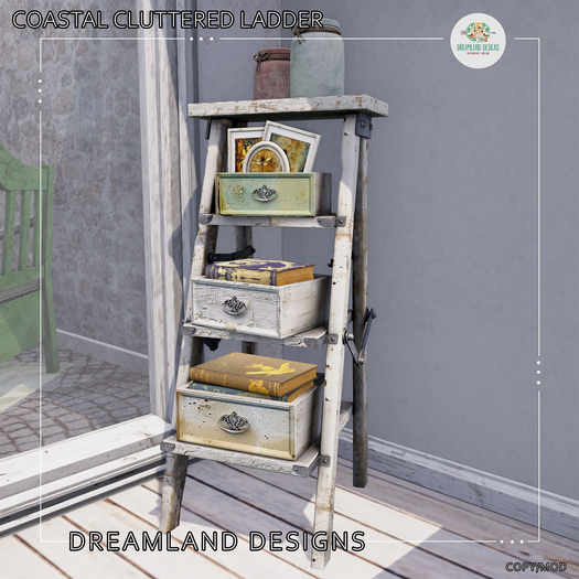 DD Coastal Cluttered Ladder 