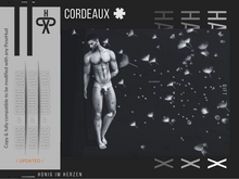 C O R D E A U X — Gift [HONIG IM HERZEN] 3 Bento Poses