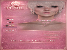 *PF::Bunny Chocker2026 (add to Unpack)