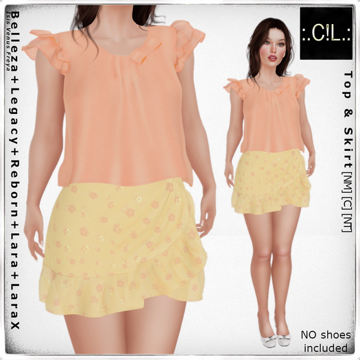 :.C!L.: Chloe Delicate Peach Top & Peach Skirt Set