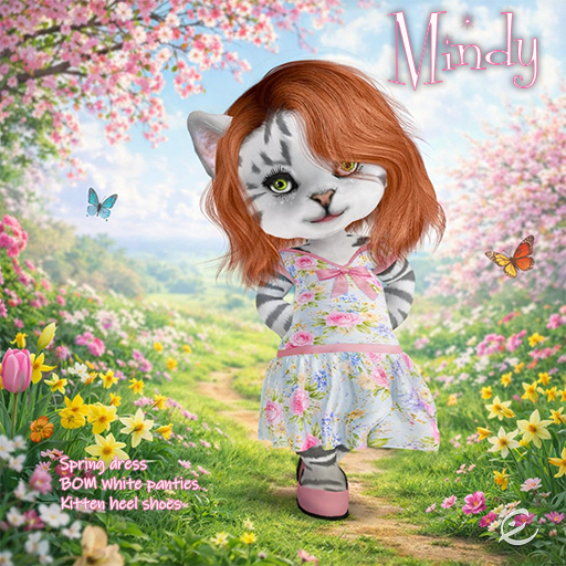 DINKIE~*ema's dinkie-Mindy boxed