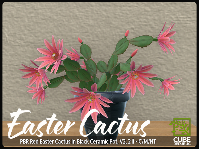 PBR Easter Cactus Red - potted , beautiful flowers