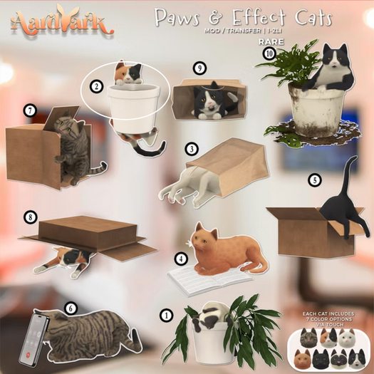 2. Aardvark : Paws & Effect - Soil Mates