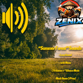 *ZENIX* SoundDesign "Summer Forest"