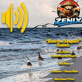 *ZENIX* SoundDesign "Beach Waves w. Seagulls"