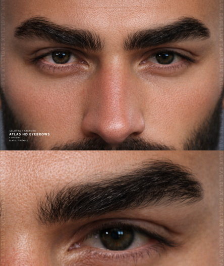 HD Atlas Eyebrows DEMO