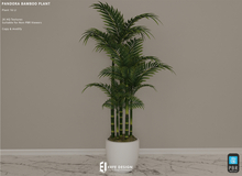 Pandora Bamboo Plant  16 LI [Erfe Design]