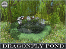POND