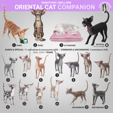 SEmotion Libellune Oriental Cat Companion COMMON 04