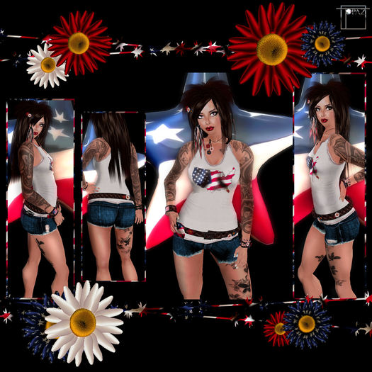 Topaz Square~Daisy American Flag Set