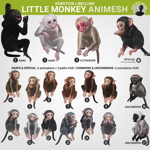 SEmotion Libellune Little Monkey Animesh UNCOMMON 16