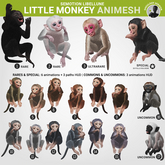 SEmotion Libellune Little Monkey Animesh COMMON 10