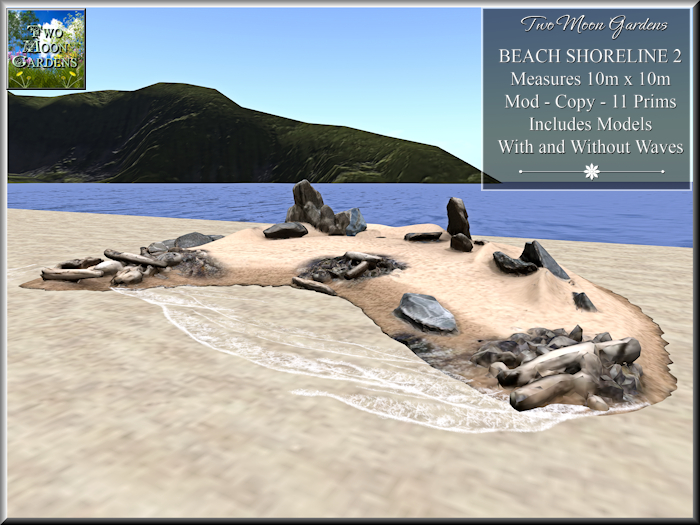 Beach Shoreline 2