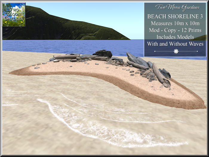 Beach Shoreline 3