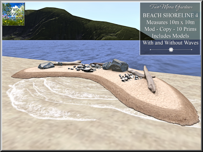 Beach Shoreline 4