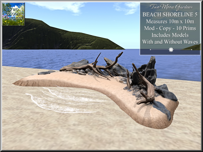 Beach Shoreline 5