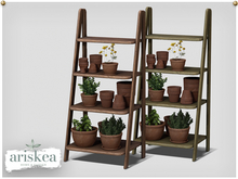 Ariskea[Rustic] Ladder Herb Garden Decor