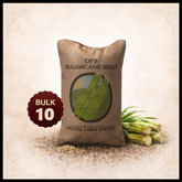 [10] DFS Sugarcane Seed V2.2 - BULK - ACTUAL ITEM