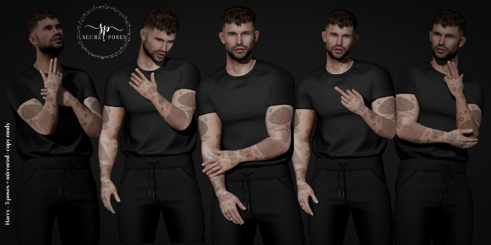 Secret Poses - Harry add