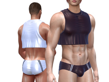 TwoSided Silk set Gary