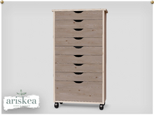 Ariskea [Serenya] Arts Wood Cabinet
