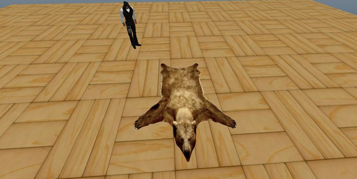 bear skin rug