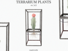 MINIMAL - Terrarium Plants 1