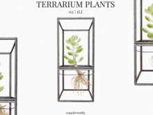 MINIMAL - Terrarium Plants 2