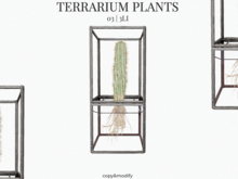 MINIMAL - Terrarium Plants 3