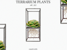 MINIMAL - Terrarium Plants 8
