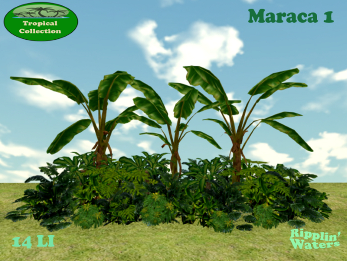 RW - Tropical Jungle Banana Flower Border *Maraca 1* c/m