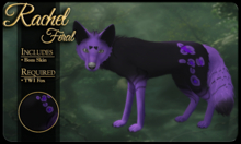 FK* Rachel ☾☾5☽☽ ☾☾Feral☽☽ ☾☾TWI Fox☽☽