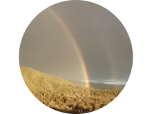 Yosemitebear - Double Rainbow Collection