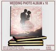wedding album  business books