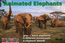 Animated Elephants