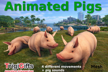 Pigs