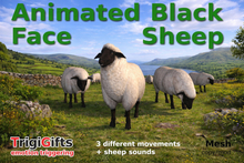 Sheep