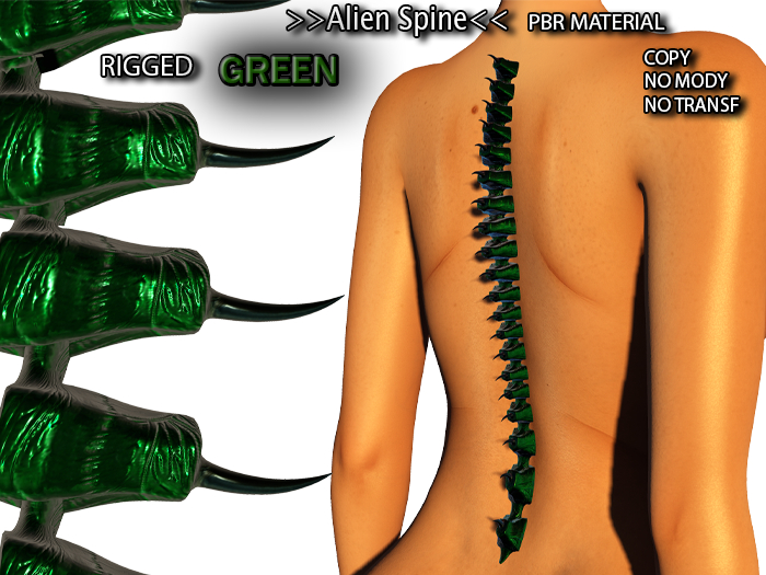 **Alien Spine (GREEN)**PlayFullMesh