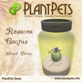 PlantPet Seed [Rosacea Cactus *Blood Drop*] RARE - free breeding - no extra costs